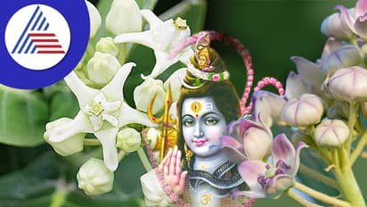 శివలింగం కలలో కనిపిస్తే అర్థమేంటో తెలుసా? 