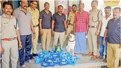 നിരോധിത പുകയില ഉത്പന്ന വേട്ട; ഡോഗ് സ്ക്വാഡെത്തി, മണത്ത് പിടിച്ചത് 1000 ഹാന്സ് പായ്ക്കറ്റ്