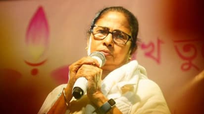 বাড়ির কালীপুজোর তীব্র ব্যস্ততার মধ্যেও সিতরাং নিয়ে সতর্ক মুখ্যমন্ত্রী মমতা, সাবধানে থাকার পরামর্শ দিলেন