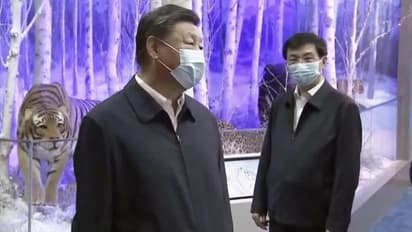 வீட்டு சிறையில் அதிபரா? வதந்திகளுக்கு முற்றுப்புள்ளி வைத்தார் சீனா அதிபர் ஜி ஜின்பிங்!