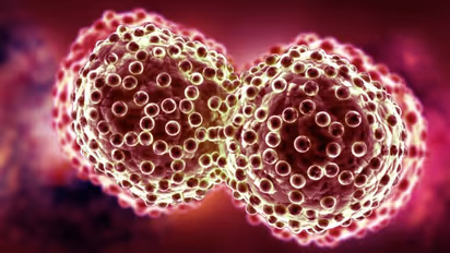 புற்றுநோய் செல்களை 99 சதவீதம் அழிக்கும் மூலக்கூறுகள்!