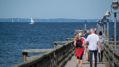 कोरोना प्रबंधन से नाखुश चरमपंथी गुट ने स्वास्थ्य मंत्री के अपहरण की रच डाली साजिश, महिला सरगना अरेस्ट