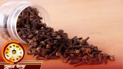 দুর্গাপুজায় কাজে লাগান লবঙ্গের এই টোটকা, বদলে যাবে ভাগ্য এমনকী সব ইচ্ছাও পূরণ হবে
