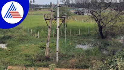 ಕೆರೆಗಳ ನಡುವೆ ಸಂಪರ್ಕಕ್ಕೆ ವಿದ್ಯುತ್ ಕಂಬಗಳೇ ಅಡ್ಡಿ!
