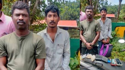 തിരുവനന്തപുരത്ത് വൻ ലഹരിവേട്ട, പിടികൂടിയത് ഒരു കോടി രൂപ വിലയുള്ള ലഹരി വസ്തുക്കൾ