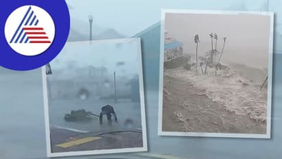 Hurricane Ian News: ಚಂಡಮಾರುತದ ರಭಸಕ್ಕೆ ಗಾಳಿಯಲ್ಲಿ ಹಾರಿದ ವರದಿಗಾರ, ರಸ್ತೆಗೆ ಬಂದ ಶಾರ್ಕ್ಗಳು