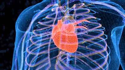 World Heart Day 2022: These 9 tests can help diagnose heart problems 