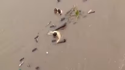 Body of Assam officer, missing after boat tragedy, recovered after 72 hours