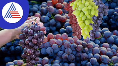 ಇನ್ನೇನು ದ್ರಾಕ್ಷಿ ಸೀಸನ್, ಸರಿಯಾಗಿ ತೊಳೆದು ಬಳಸೋದ ಮರೀಬೇಡಿ