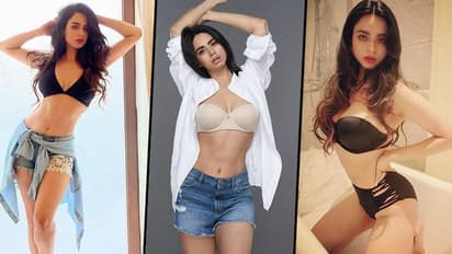 বিগ বসের দ্বিতীয় প্রতিযোগী হতে পারেন ভোজপুরি তারকা সৌন্দর্যা শর্মা, এক ঝলকে দেখে নিন তার সেক্সি লুক গুলি 