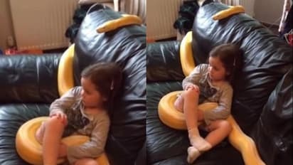 12 அடி நீள பாம்புடன் டிவி பார்க்கும் சிறுமி... இணையத்தில் வைரலாகும் வீடியோ!!