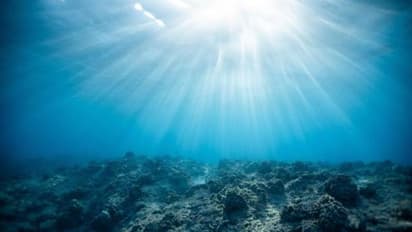 465 రోజుల కింద సముద్రంలో పోగొట్టుకున్న ఫోన్ మళ్లీ చిక్కింది.. వర్కింగ్ కండీషన్లోనే ఉందన్న యూజర్