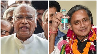 Congress President Election: ಖರ್ಗೆ ಕಾಂಗ್ರೆಸ್‌ನಲ್ಲಿ ಯಾವ ಬದಲಾವಣೆಯನ್ನೂ ತರೋದಿಲ್ಲ: ಶಶಿ ತರೂರ್‌