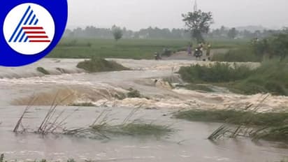 Kolara Rains; ಕೋಡಿ ಬಿದ್ದ ತಲ್ಲೂರು ಕೆರೆ, ನಟ ಯಶ್ ಗೆ ಧನ್ಯವಾದ ಅರ್ಪಿಸಿದ ಜನತೆ