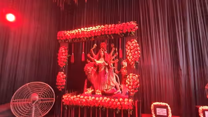 দুর্গাপুজোর থিমে ভোট-পরবর্তী হিংসা, প্যান্ডেলের আনাচে কানাচে উঠে এল হিংসার ছবি