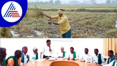 ಬೆಳೆನಷ್ಟಪರಿಹಾರ ಹೆಕ್ಟೇರ್‌ ಬದಲಾಗಿ ಎಕರೆಗೆ 24 ಸಾವಿರ ರು. ನೀಡಿ 