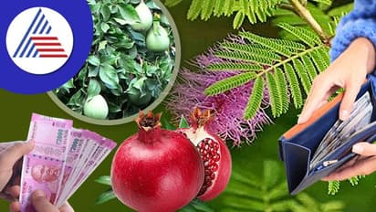 ಕೊಟ್ಟ ಸಾಲ ಮರಳಲು, ಸಾಲ ತೀರಿಸಲು ಈ ವಾಸ್ತು ಟಿಪ್ಸ್ ಫಾಲೋ ಮಾಡಿ