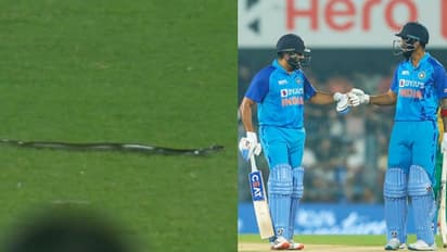 దక్షిణాఫ్రికాతో భారత్ టీ20 మ్యాచ్... స్టేడియంలోకి పాము...!