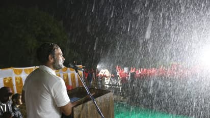 കോരിച്ചൊരിയുന്ന മഴയില് ആവേശം ചോരാതെ രാഹുല്; 'ഭാരത് ജോഡോ യാത്രയുടെ' വീഡിയോ വൈറലാക്കി കോണ്ഗ്രസ്