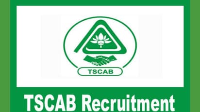 Bank Jobs: తెలంగాణ స్టేట్ కోఆపరేటివ్ అపెక్స్ బ్యాంక్ (TSCAB) స్టాఫ్ అసిస్టెంట్ పోస్టులకు నోటిఫికేషన్ విడుదల