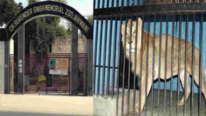 8 अक्टूबर तक मुफ्त में चिड़ियाघर घूमने का शानदार मौक़ा, विभाग ने जारी किया ये अहम निर्देश