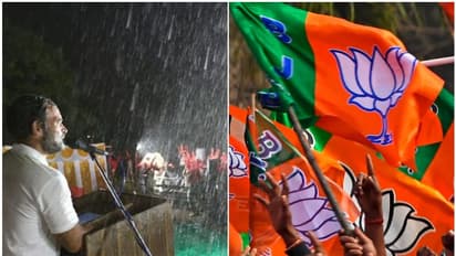 'ശരദ് പവാറിനെ വാഴ്ത്തി, പിന്നെ സംഭവിച്ചത് അറിയാമല്ലോ'; മഴയത്തുള്ള രാഹുലിന്റെ പ്രസംഗത്തെ പരിഹസിച്ച് ബിജെപി