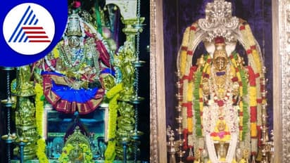 Chikkamagaluru: ಕಾಫಿನಾಡು ಜಿಲ್ಲೆಯ ಹೊರನಾಡು, ಶೃಂಗೇರಿಯಲ್ಲಿ ನವರಾತ್ರಿ ಸಂಭ್ರಮ