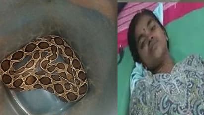 தன்னை கடித்த பாம்புடன் சிகிச்சைக்கு வந்த பெண்... அலறிய மருத்துவர்கள்..!