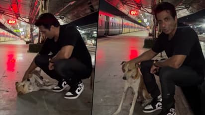 Sonu Sood urges people to show love toward street dogs; watch viral video