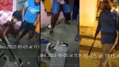 നായയോട് കൊടും ക്രൂരത, കാലുകള് കെട്ടിയിട്ട് തല്ലിച്ചതച്ചു; മൂന്ന് യുവാക്കള് അറസ്റ്റില്