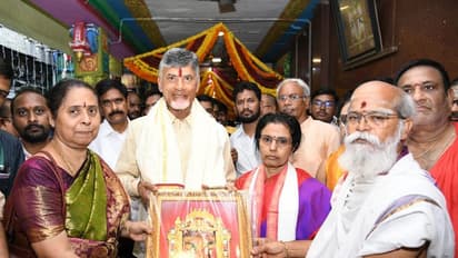 బెజవాడ దుర్గమ్మను దర్శించుకున్న చంద్రబాబు.. కేసీఆర్ జాతీయ పార్టీపై ఏమన్నారంటే..?