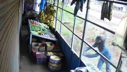 ஐஸ்கிரீம் சாப்பிட்டுவிட்டு கூலாக 10 கடைகளில் கொள்ளையடித்த திருடர்கள்