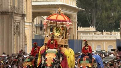 ಆನೆ ಮೇಲೆ ಸುಭದ್ರವಾಗಿ ಅಂಬಾರಿ ಕಟ್ಟುವ ಕಾರ್ಯ ಯಾರದ್ದು..?