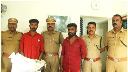 മുള്ളൻ പന്നിയെ കുരുക്ക് വച്ച് പിടിച്ചു; ഇടുക്കിയിൽ രണ്ട് പേര് പിടിയില്