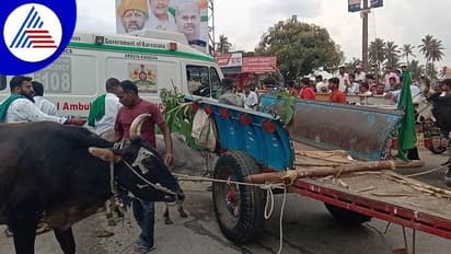 ಕಬ್ಬಿನ ದರ ನಿಗದಿಗೆ ರಸ್ತೆಗಿಳಿದ ರೈತರು: ಪ್ರಯಾಣಿಕರ ಪರದಾಟ