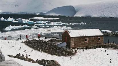 ലോകത്തിന്റെ ഏറ്റവും തെക്കേ അറ്റത്തുള്ള 'അസാധാരണ ജോലി'ക്കായി നാല് വനിതകള്; പിന്തള്ളിയത് 4000 പേരെ