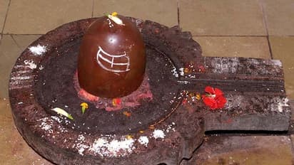 Shukra Pradosh 2022: 7 अक्टूबर को शुक्र प्रदोष का संयोग, जानें शुभ मुहूर्त, पूजा विधि और महत्व