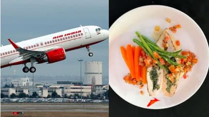 ചിക്കന്‍ 65, ബ്ലൂബെറി വനില പേസ്ട്രി; യാത്രികര്‍ക്കായി പുതിയ മെനുവുമായി എയർ ഇന്ത്യ