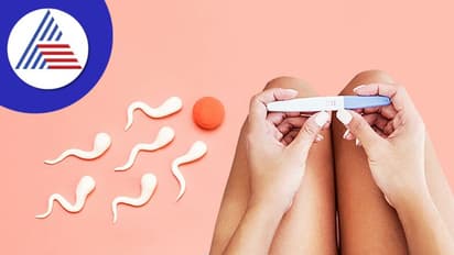 ಮದ್ವೆಯಾಗಿ ಬೇಗ ಗರ್ಭ ಧರಿಸಬೇಕು ಅನ್ನೋ ಪ್ಲಾನ್ ಇದ್ರೆ ಇವಿಷ್ಟನ್ನು ತಪ್ಪದೇ ಮಾಡಿ