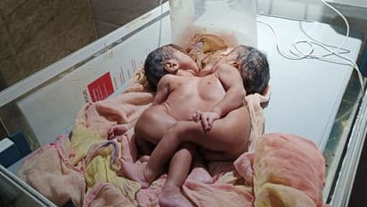 क्या है राजस्थान का अनोखा मामला, जिसे देखने के लिए लग रहा लोगों का तांता