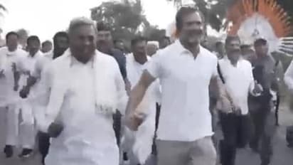 സിദ്ധരാമയ്യയുടെ കൈയ്യും പിടിച്ച് രാഹുലിന്റെ 'കൂട്ടയോട്ടം', ഭാരത് ജോഡോ യാത്രയിലെ വൈറൽ ദൃശ്യം - വീഡിയോ