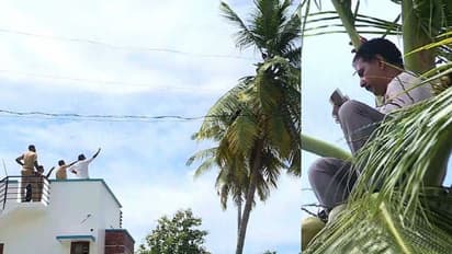 വീട് നിര്മ്മിച്ചതിൻ്റെ പണം തന്നില്ല; തിരുവനന്തപുരത്ത് തെങ്ങിൽ കയറി ആത്മഹത്യ ഭീഷണി കരാറുകാരൻ