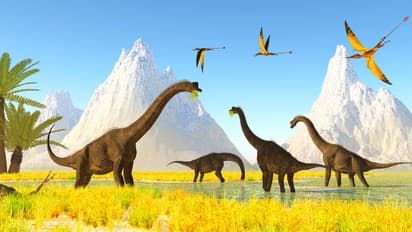 പൂച്ചയുടെ വലിപ്പം, ദിനോസര്‍ കുടുംബം, ദിനോസര്‍ കാലത്തെ  പറക്കും ഉരഗത്തിന്റെ ഫോസില്‍ കണ്ടെത്തി