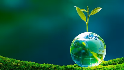 Start practising sustainable living for a better tomorrow. Here are 6 tips you can follow 