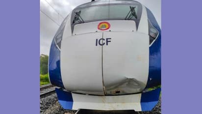 Vande Bharat Express hits cow in Gujarat; collision with cattle unavoidable, says Railway Minister