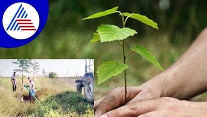 Dharwad News: ಸಾಮಾಜಿಕ ಅರಣ್ಯೀಕರಣ ಮಾಡುವಲ್ಲಿ ಹಿನ್ನಡೆ