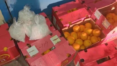 പഴത്തിന്റെ മറവിൽ കടത്തിയത് 1978 കോടിയുടെ മയക്കുമരുന്ന്: 502 കോടിയുടെ കൊക്കെയ്ൻ കടത്ത് കേസിലും വിജിൻ അറസ്റ്റിൽ