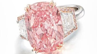 460 കോടിയുടെ 'മുതല്‍'; അസാധാരണമായ ലേലം...