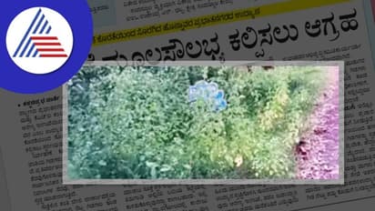 ಸೊರಗುತ್ತಿದೆ ಉದ್ಯಾನವನ; ಮೂಲಸೌಲಭ್ಯ ಕಲ್ಪಿಸಲು ಆಗ್ರಹ