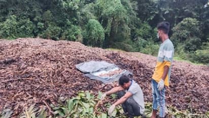 उत्तराखंड में युवक का मर्डर-यूपी में दफनाई लाश, पुलिस को 1 माह बाद मिला मृतक का कंकाल